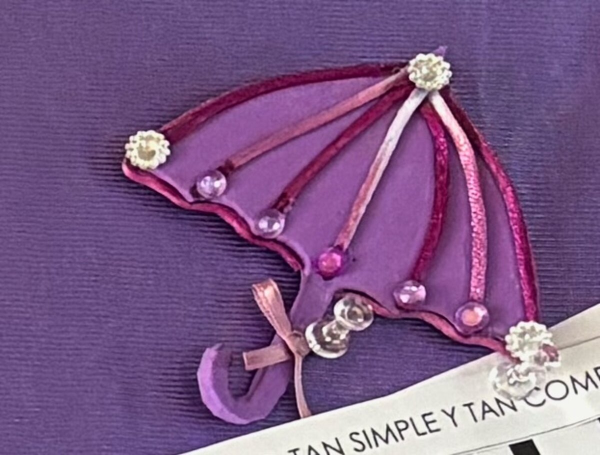 Broche 11 - Mi paraguas, tan simple y tan complejo